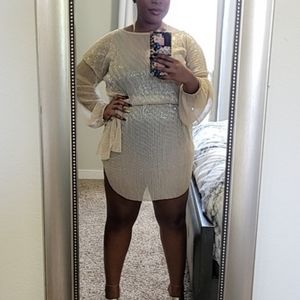 Gold Plisse Balloon Sleeve Sheer Shift Dress